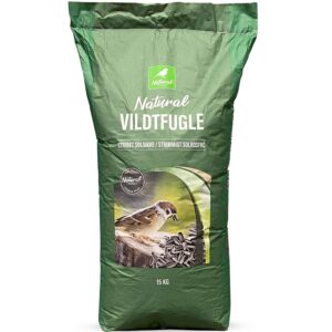 Strimmigt Solrosfrö, 15 kg (45)