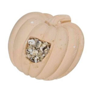 Pumpa mineralsten med fyllning (8)
