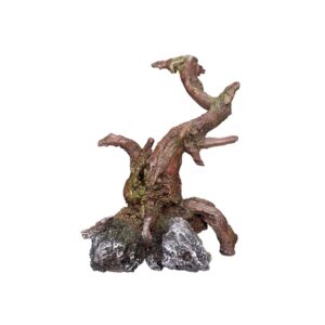 Aqua Ornaments WOOD