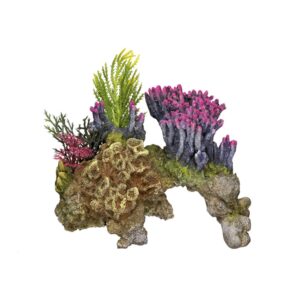 Aqua Ornaments CORAL STONE - w/ plants