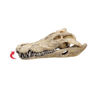 Aqua Ornaments CROCODILE SCULL