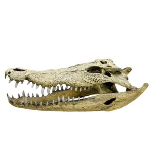 Aqua Ornaments CROCODILE SCULL