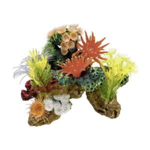 Aqua Ornaments CORAL STONE w/ plants