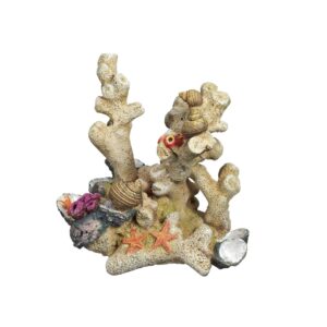 Aqua Ornaments CORAL