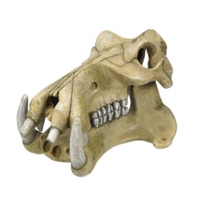 Aqua Ornaments HIPPOPOTAMUS SKULL
