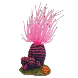 Aqua Ornaments APLYSINA