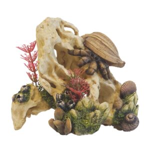 Aqua Ornaments "SHELL ON STONE"