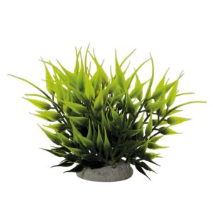 Aqua Ornaments "BAMBOO"