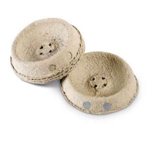 DANDYNEST