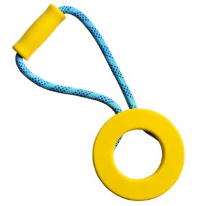 TPR Ring with rope and handle