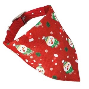Nylon collar with scarf Size L, 50 cm / 20 mm