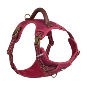 Harness SPORTY