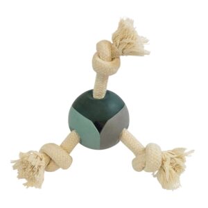 Rubber ball with knot ropes