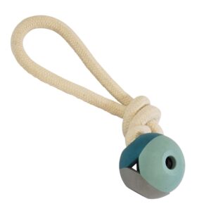 Rubber ball with rope