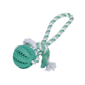 Dental line, boll m. rep (3)