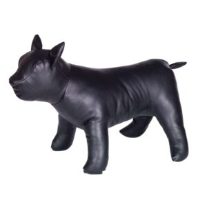 Dog for presentation BULLDOG