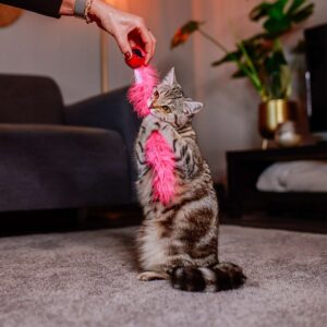 Ball with feather