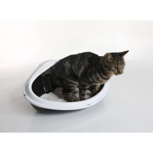 Kattlåda hörn 51x38x22,5cm (4)