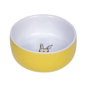 Rodent Ceramic bowl Rabbit