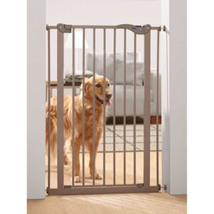 Hundegitter