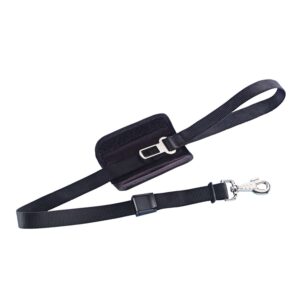 Koppel till  "Safe & Walk"