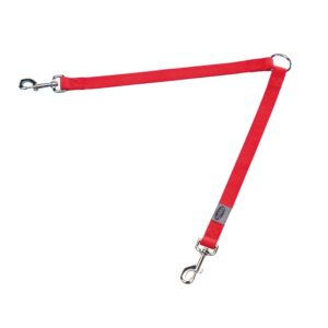 Belt Classic