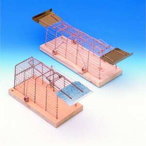 Luna wire box for rats