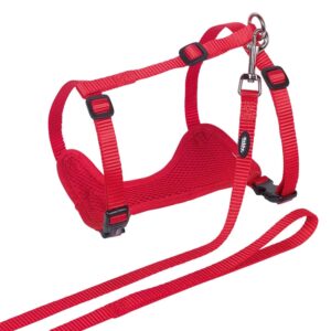 Cat set Mesh