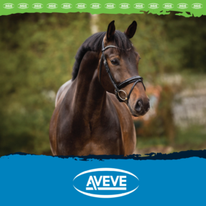 Aveve Foderbroschyr