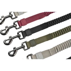 51 - Wanderful - Leash - Nylon - Bungee Flat