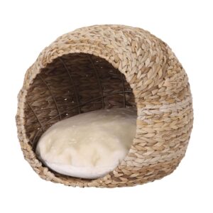 Cave LASA