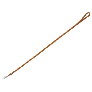 Leash TABIL