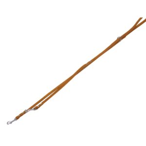 Training Leash TABIL