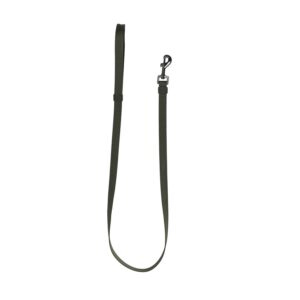 51 - Wanderful - Leash - Nylon - Flat