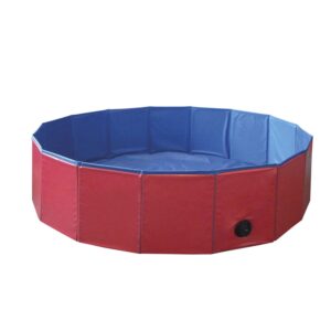 Dog pool