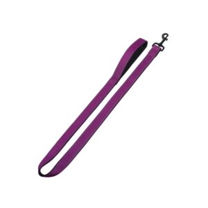 Leash Classic Reflect SOFT