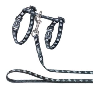 Cat Set Scull