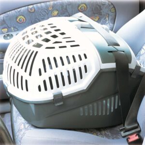 Carrier box Avior