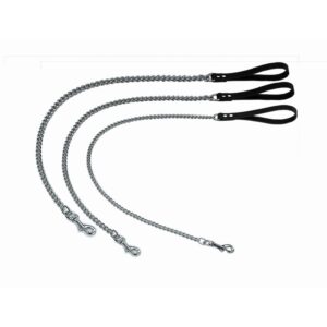 Chains leash Professional
