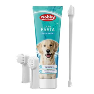 Tandbørste med tandpasta
