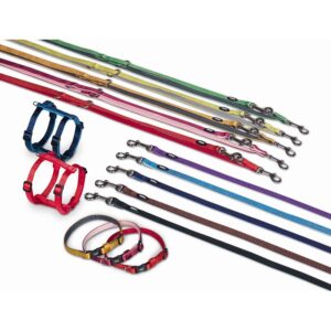 Leash Classic Preno Mini