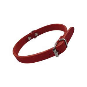 Collar TABIL, 60 cm (47-54 cm), 30 mm