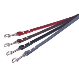 Leash TABIL