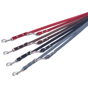 Training Leash TABIL