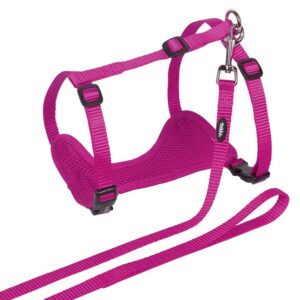 Cat set Mesh