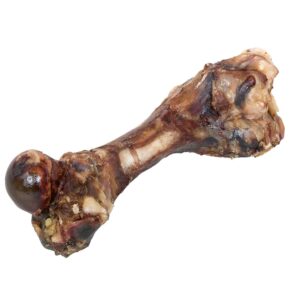 Dried Pork Bone 19-23 cm