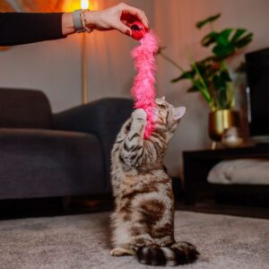 Ball with feather