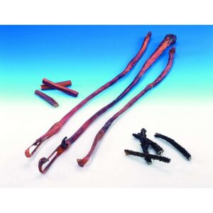 Pizzle 70 cm; bag; 10 pieces