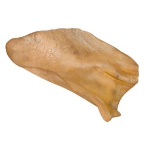 Cattle ears