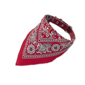 Collar with neck scarf